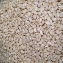 農(nóng)產(chǎn)品批發(fā)大蒜價(jià)格與市場(chǎng)分析