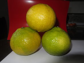 洪江市黔陽(yáng)紅農(nóng)產(chǎn)品專業(yè)合作社 優(yōu)質(zhì)食用農(nóng)產(chǎn)品批發(fā)與供應(yīng)