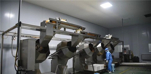 谷城縣石花鎮 培育壯大特色農產品深加工 推動農業產業鏈做大做強